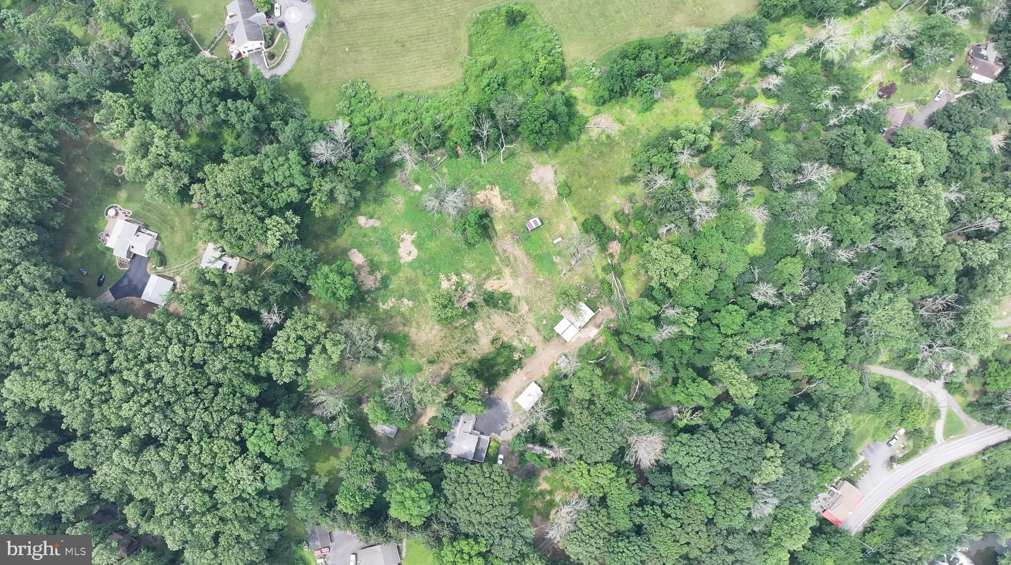 160 Stoney Bank Road Glen Mills, PA 19342 - Photo 43 of 46 a view of a lush green forest