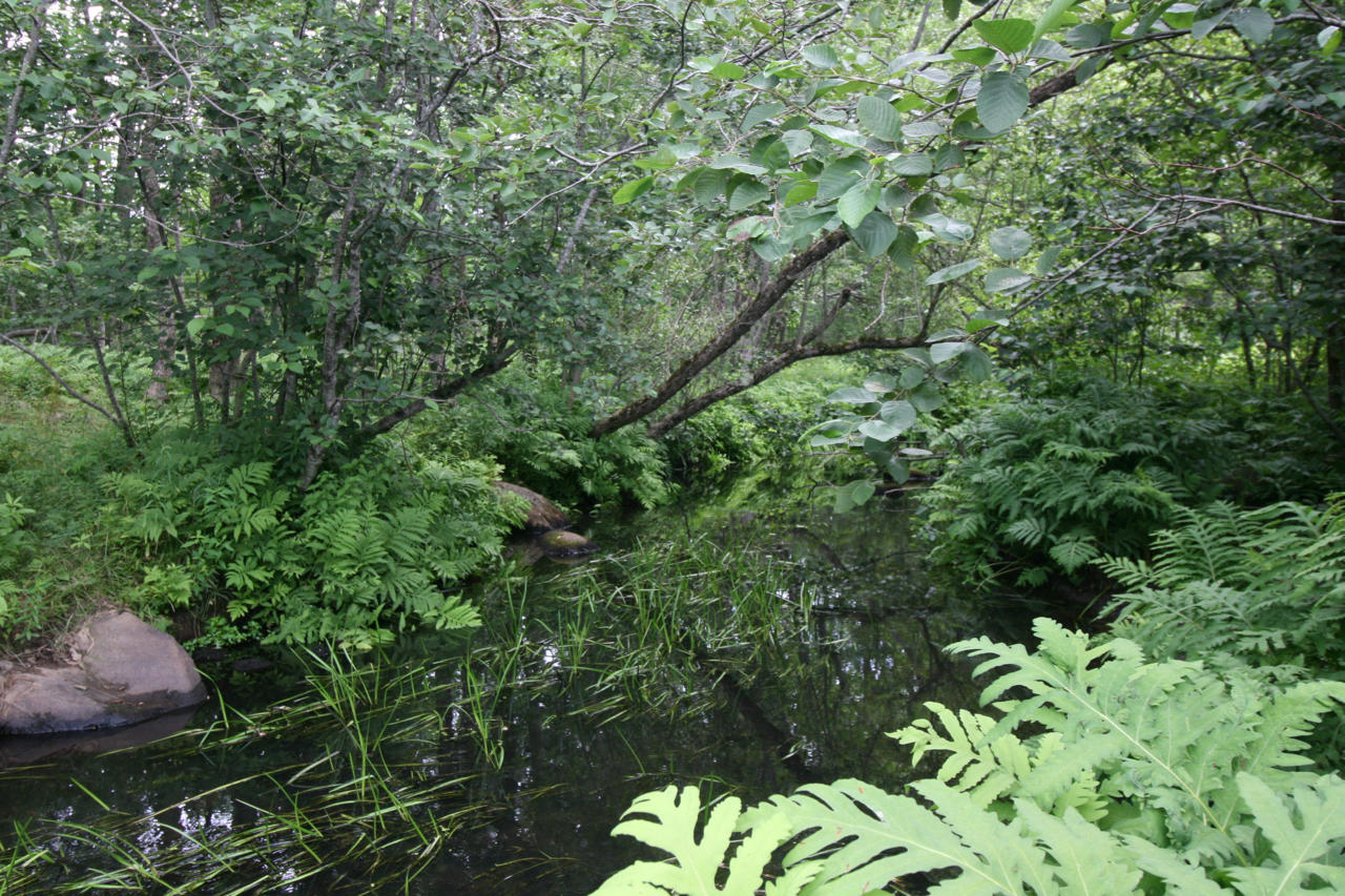 109 West Meadow Road Thomaston, ME 04861 - Photo 31 of 36 more river