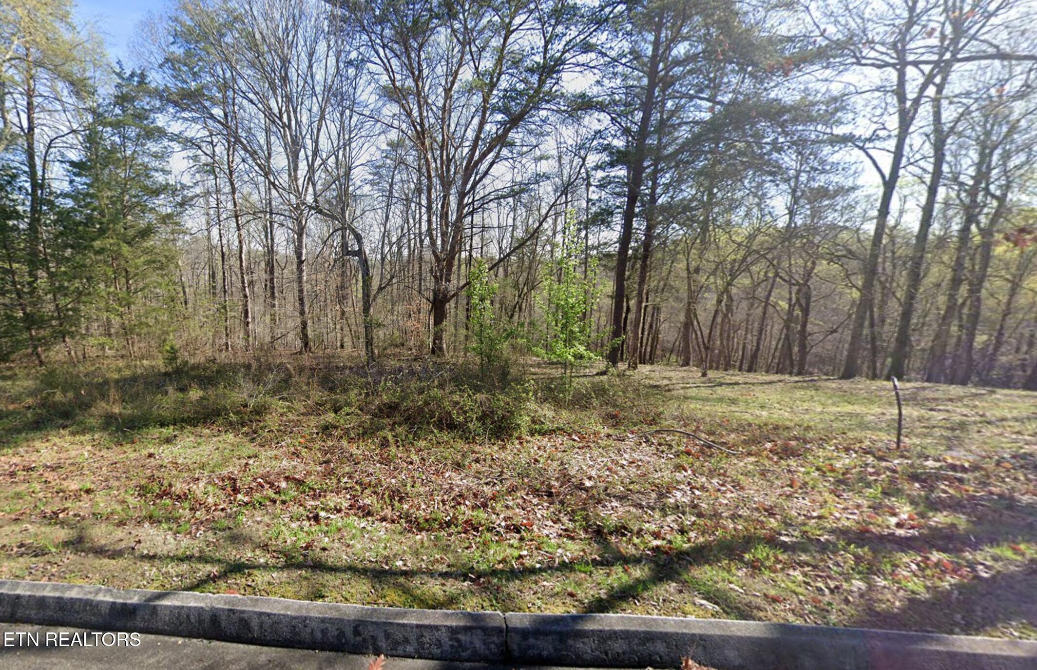 Deer Ridge Road Kingston, TN 37763 - Photo 1 of 4 1