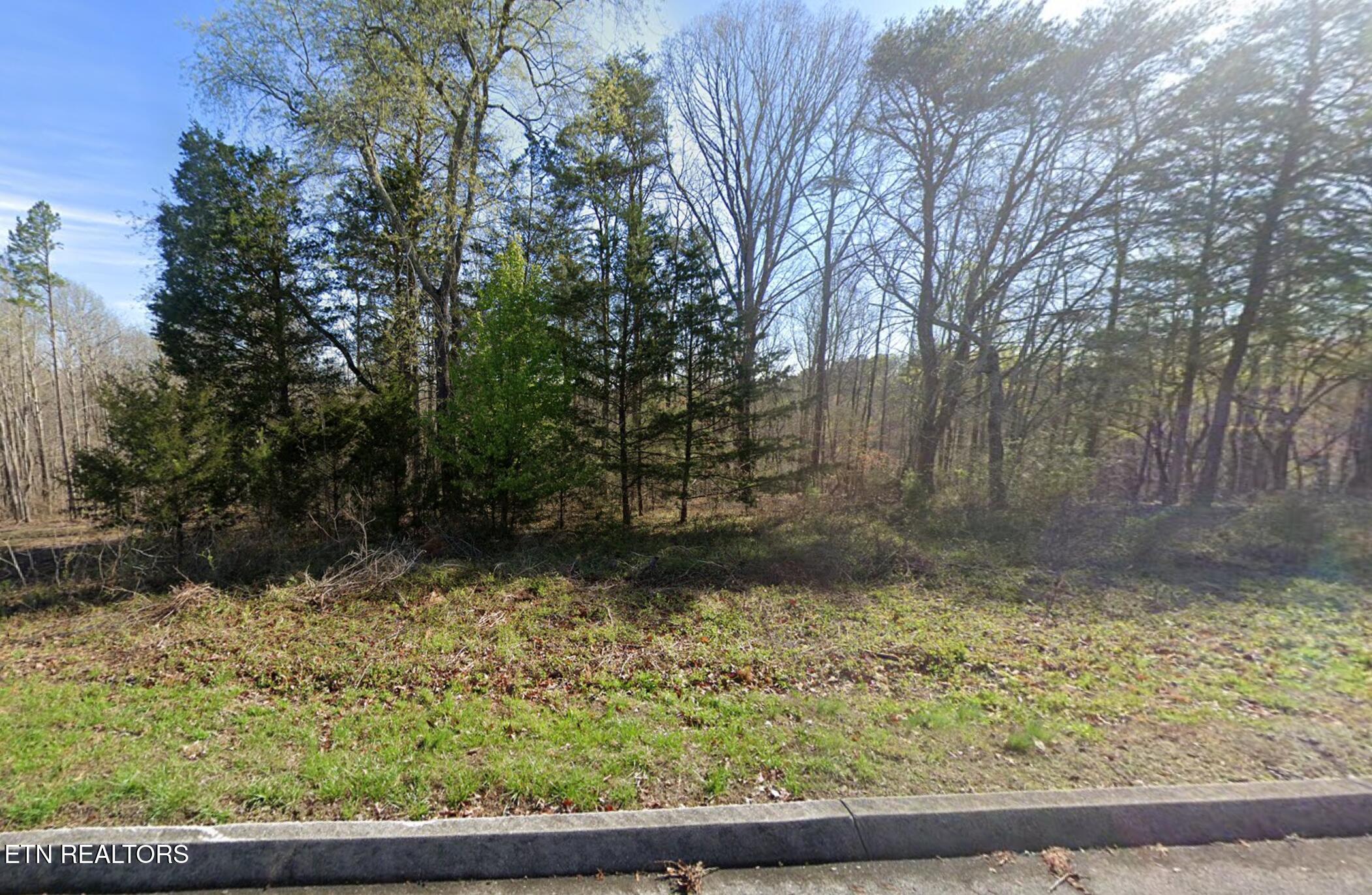 Deer Ridge Road Kingston, TN 37763 - Photo 2 of 4 2