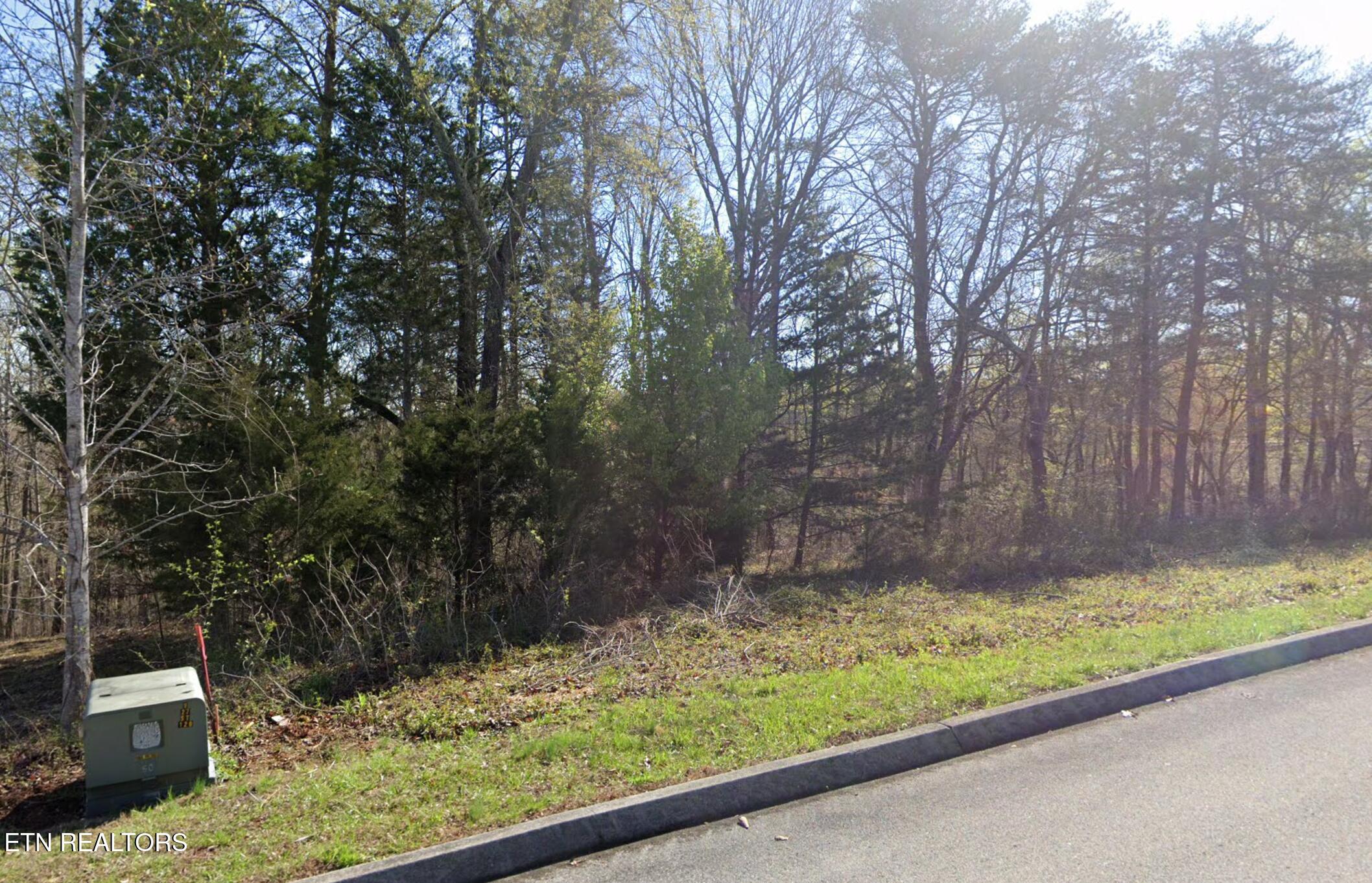 Deer Ridge Road Kingston, TN 37763 - Photo 3 of 4 3