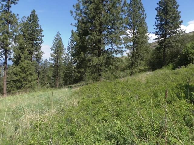 3356 Vista Ridge Way, Unit LOT A Rice, WA 99167 - Photo 5 of 12