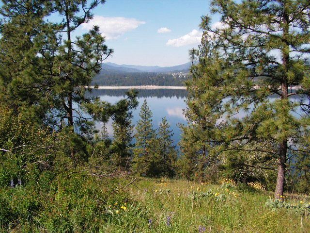 3356 Vista Ridge Way, Unit LOT A Rice, WA 99167 - Photo 7 of 12