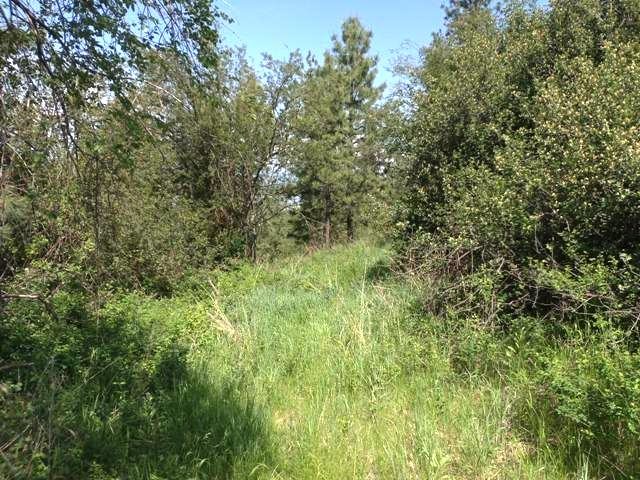 3356 Vista Ridge Way, Unit LOT A Rice, WA 99167 - Photo 8 of 12