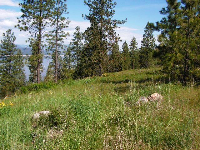 3356 Vista Ridge Way, Unit LOT A Rice, WA 99167 - Photo 9 of 12