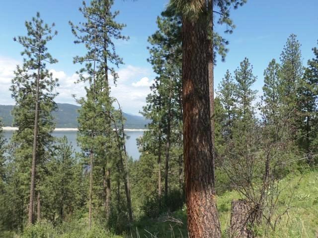 3356 Vista Ridge Way, Unit LOT A Rice, WA 99167 - Photo 10 of 12
