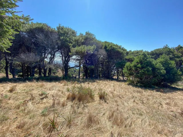 $575,000 | 105 Hares Tail Close, The Sea Ranch, CA 95497