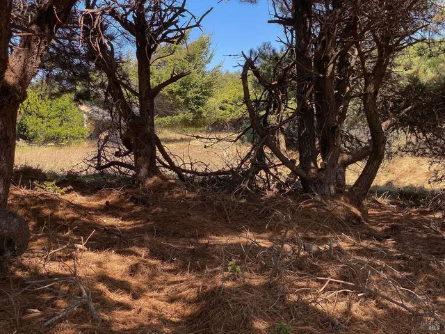 $575,000 | 105 Hares Tail Close, The Sea Ranch, CA 95497