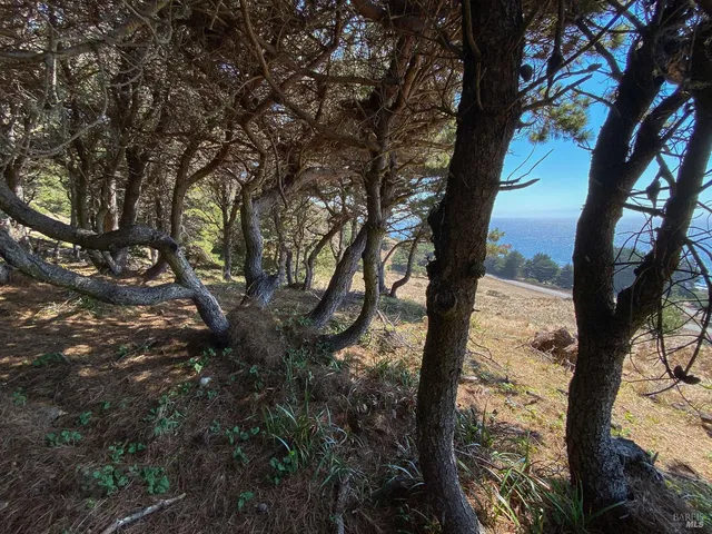 $575,000 | 105 Hares Tail Close, The Sea Ranch, CA 95497