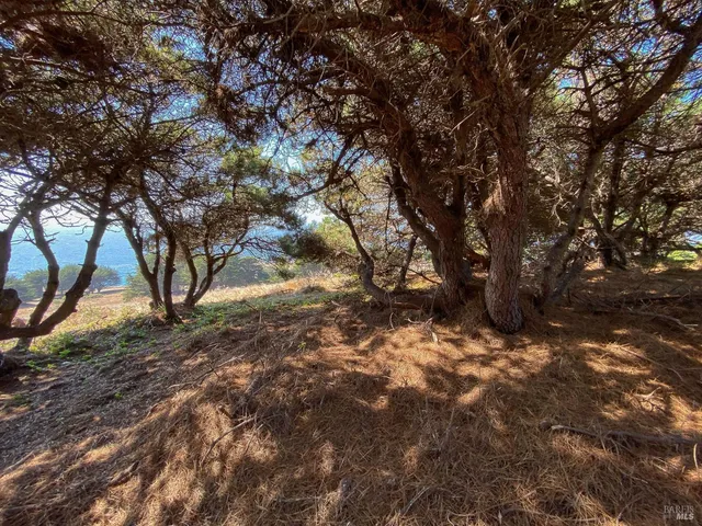 $575,000 | 105 Hares Tail Close, The Sea Ranch, CA 95497