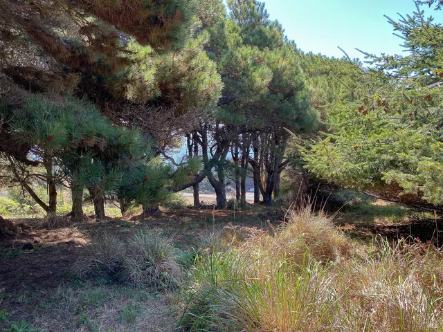 $575,000 | 105 Hares Tail Close, The Sea Ranch, CA 95497