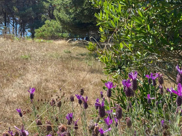 $575,000 | 105 Hares Tail Close, The Sea Ranch, CA 95497