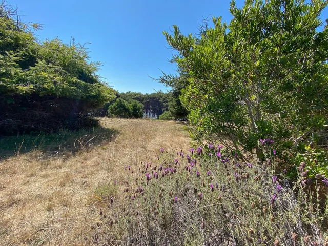 $575,000 | 105 Hares Tail Close, The Sea Ranch, CA 95497