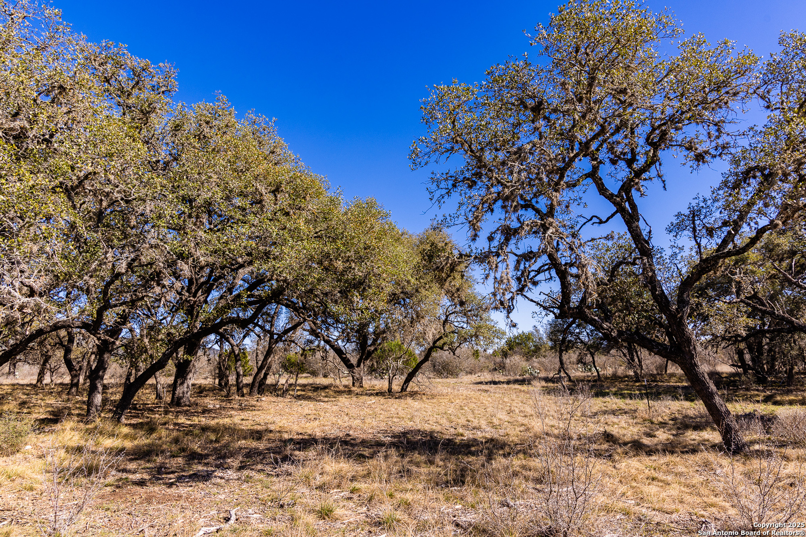 2400 Little Dry Frio Road Rio Frio, TX 78879 - Photo 12 of 27