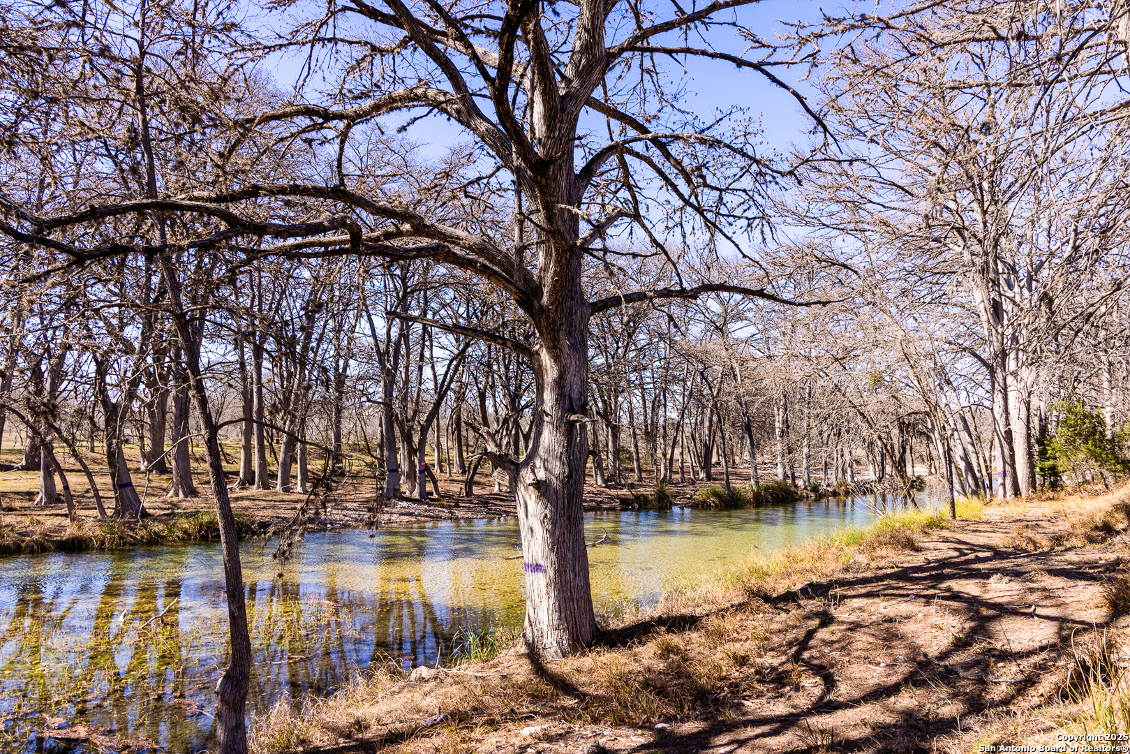 2400 Little Dry Frio Road Rio Frio, TX 78879 - Photo 2 of 27