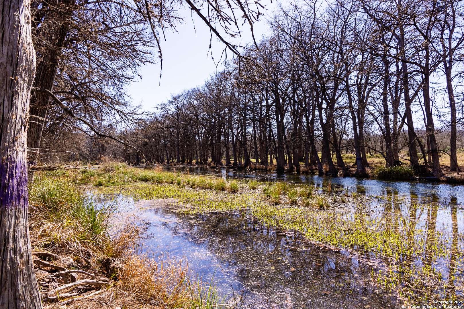 2400 Little Dry Frio Road Rio Frio, TX 78879 - Photo 24 of 27