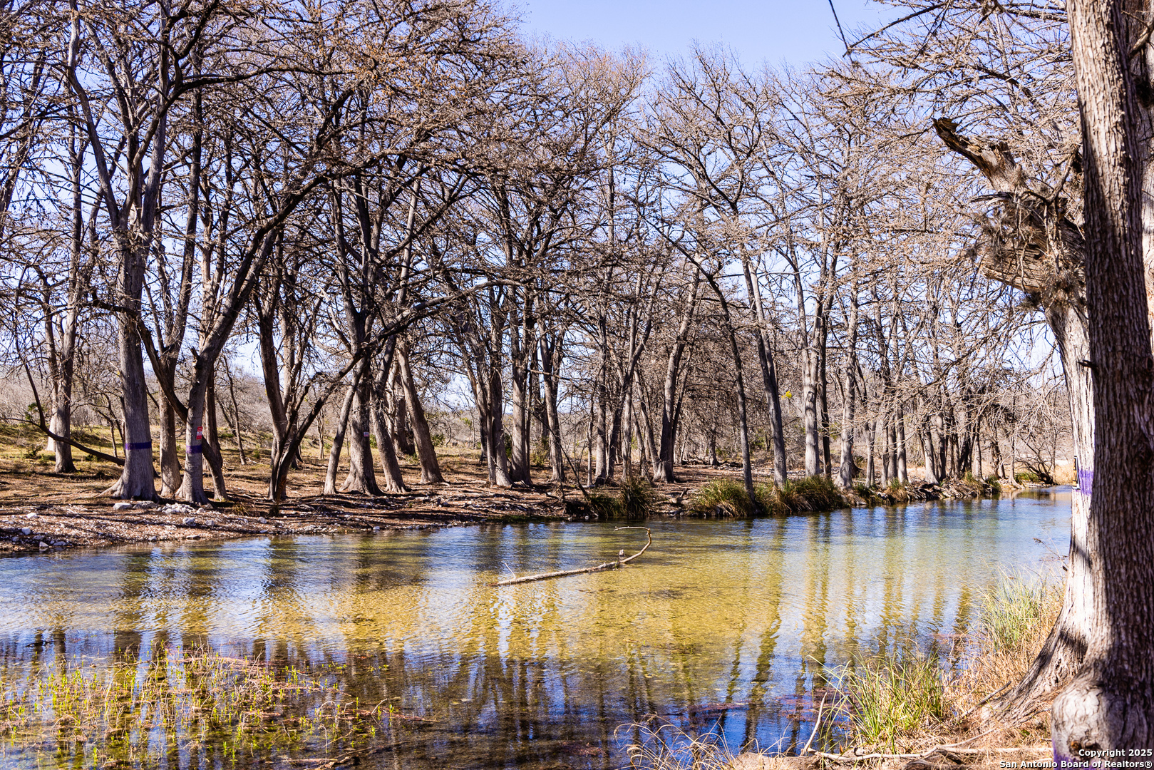 2400 Little Dry Frio Road Rio Frio, TX 78879 - Photo 25 of 27
