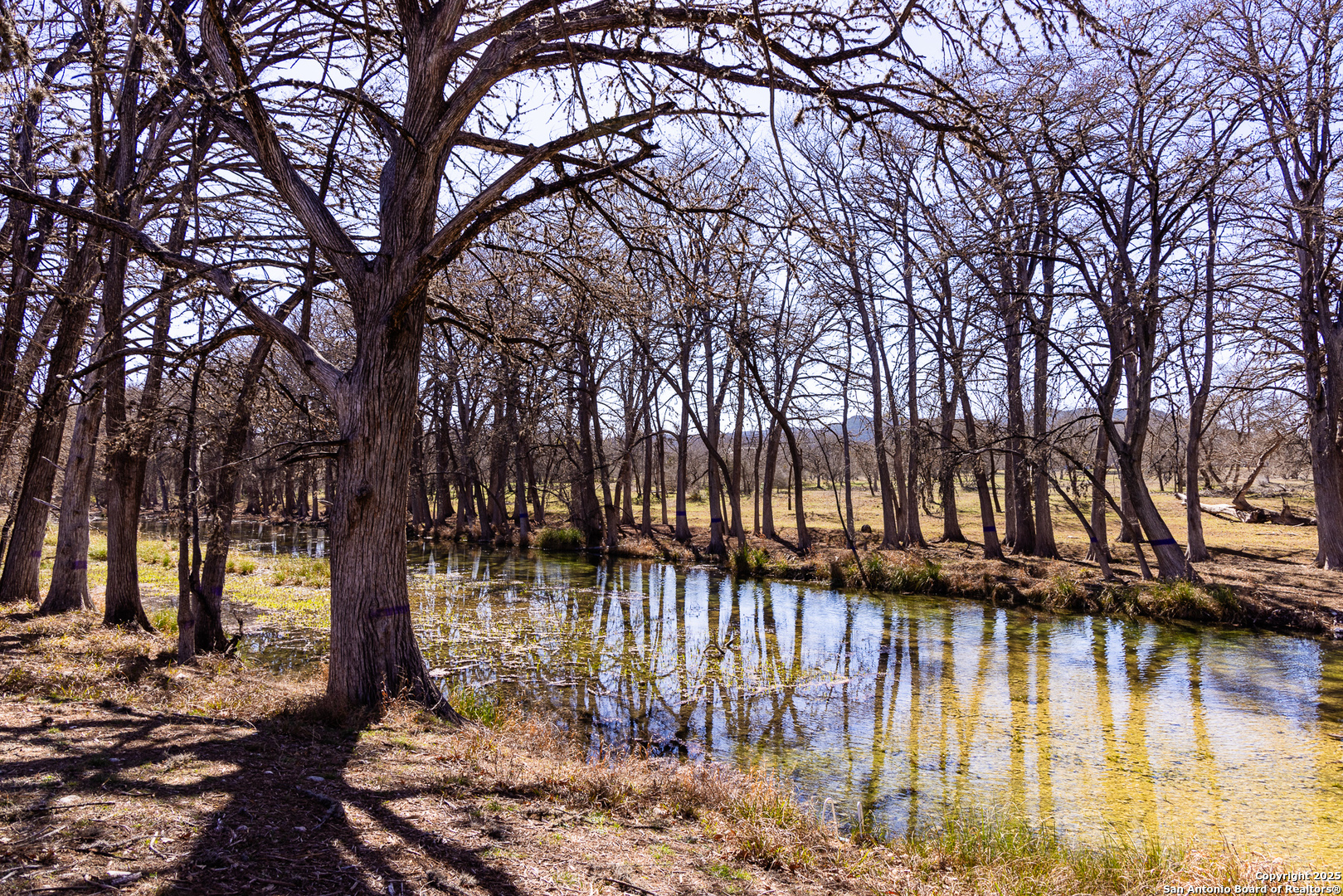 2400 Little Dry Frio Road Rio Frio, TX 78879 - Photo 7 of 27
