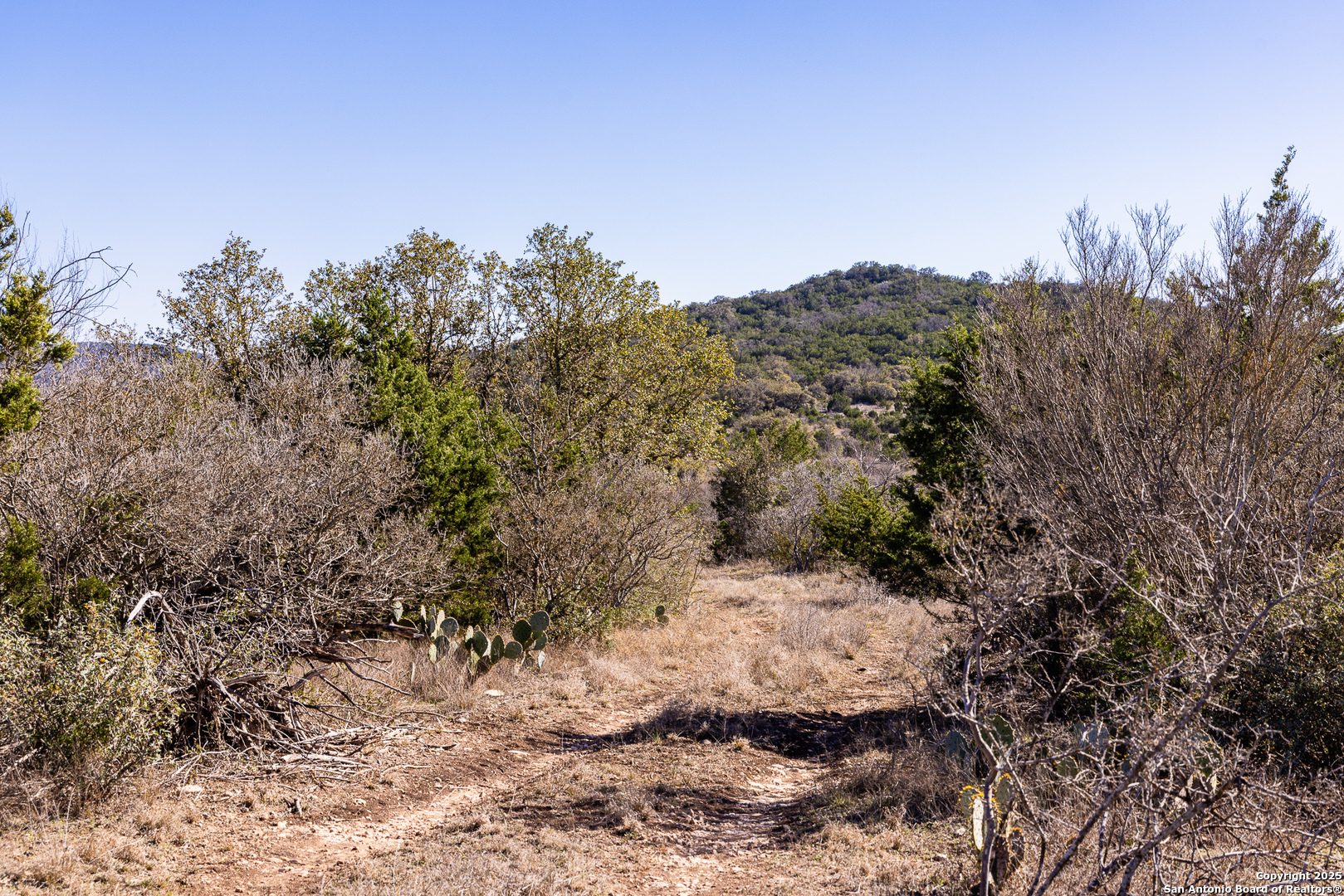 2400 Little Dry Frio Road Rio Frio, TX 78879 - Photo 9 of 27