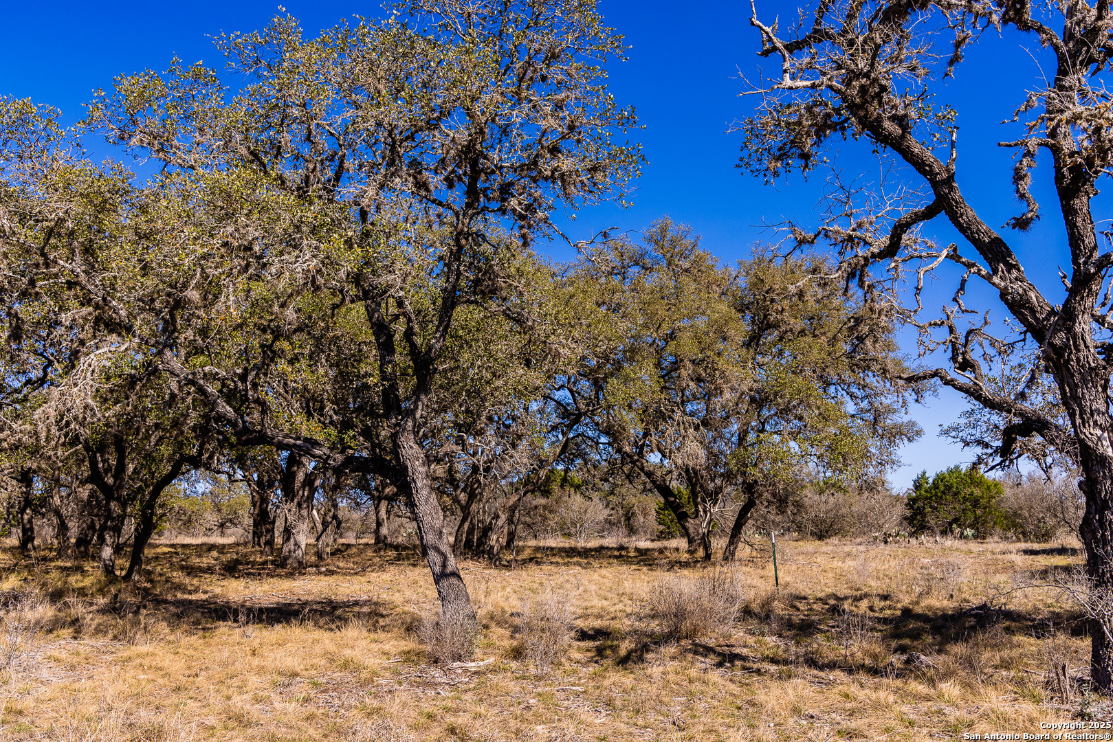 2400 Little Dry Frio Road Rio Frio, TX 78879 - Photo 10 of 27