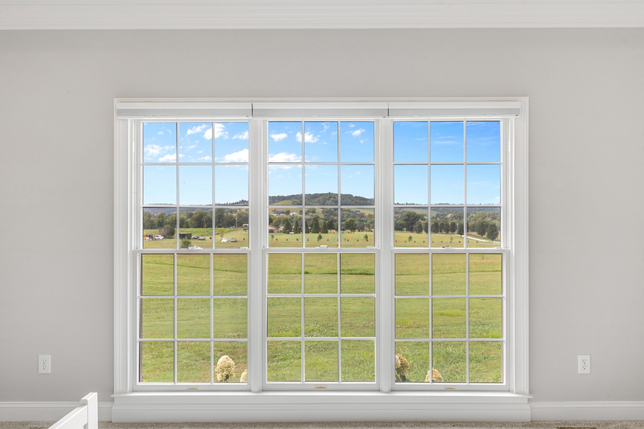 3895 Ostella Road Lewisburg, TN 37091 - Photo 66 of 100