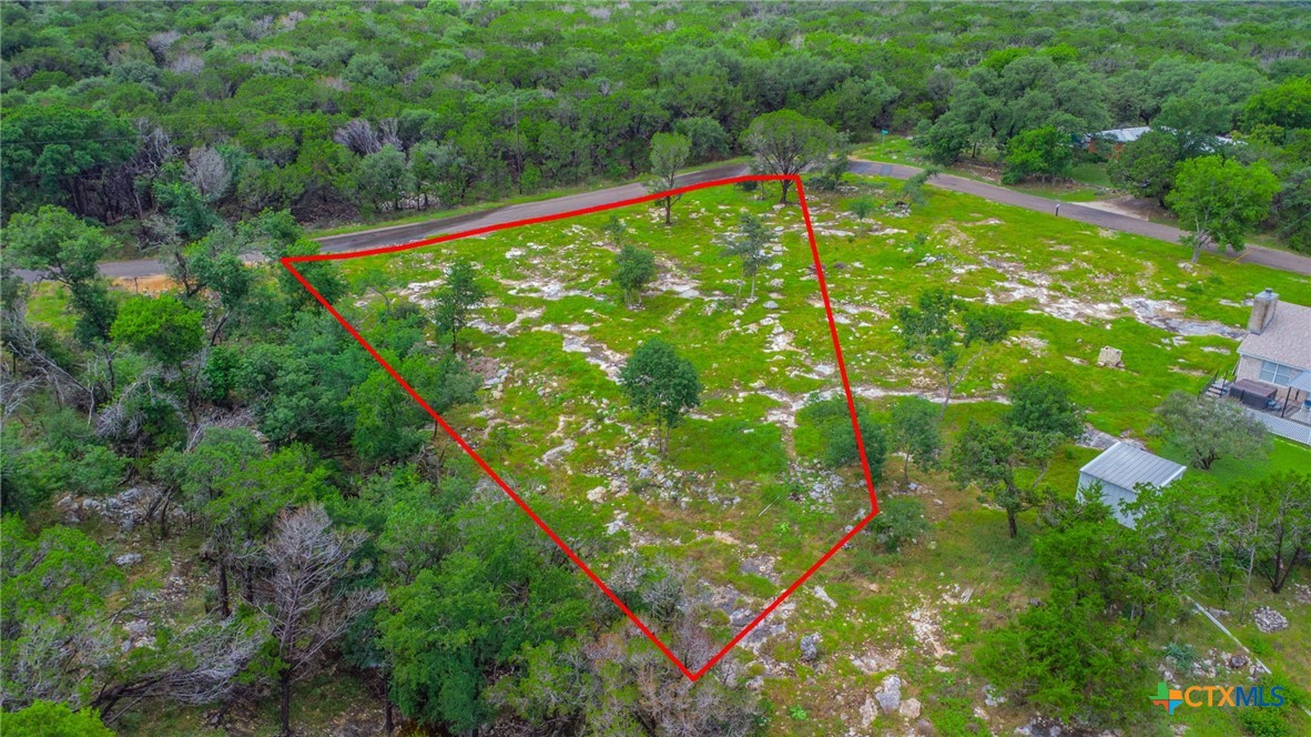 2249 Prickley Pear Road Belton, TX 76513 - Photo 14 of 16