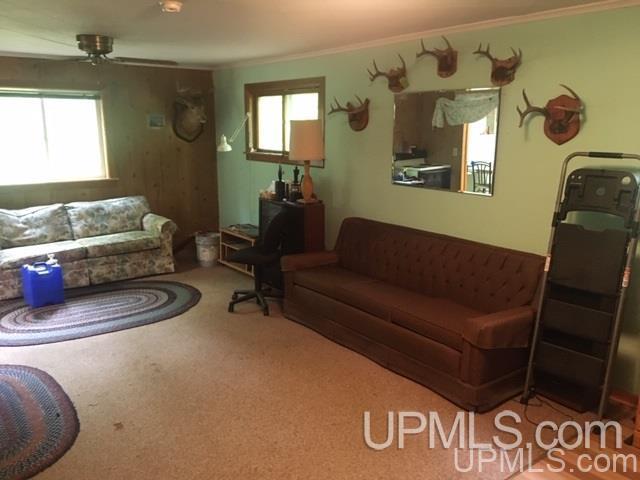 864 Niemi Road Skandia, MI 49885 - Photo 21 of 27
