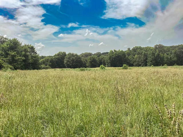 a view of lake and mountain