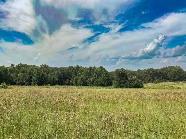 $260,000 | 5913 Highway 79, Buffalo, TX 75831