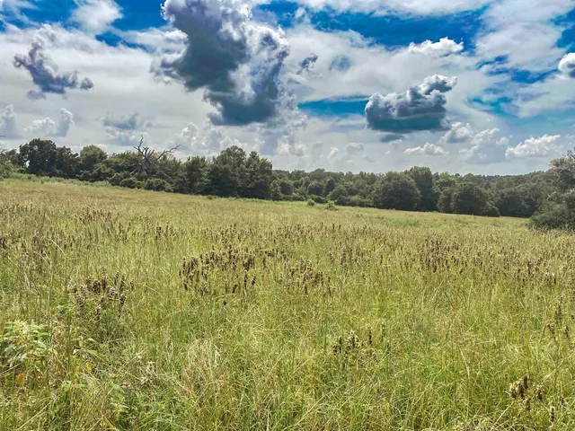 $260,000 | 5913 Highway 79, Buffalo, TX 75831