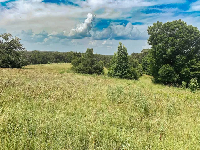 a view of a field with an ocean