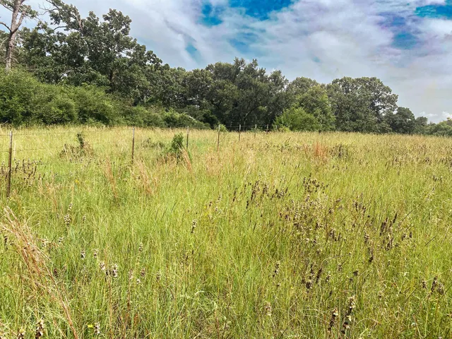 a view of outdoor space with deck and backyard