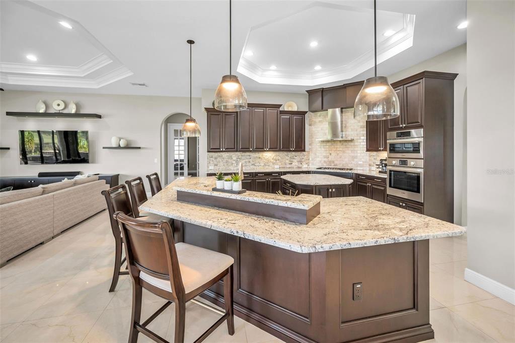 9829 Milano Drive Trinity, FL 34655 - Photo 34 of 100