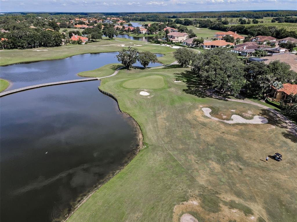 9829 Milano Drive Trinity, FL 34655 - Photo 96 of 100 a view of a lake from a yard