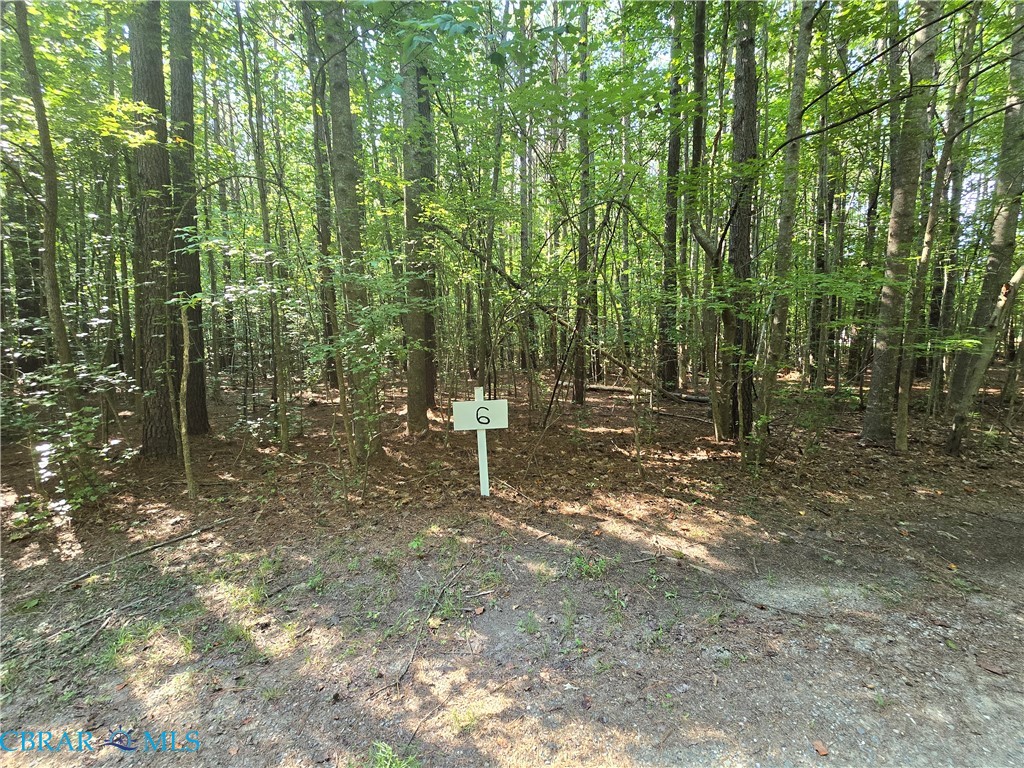 Lot 6 Kayak Cove Road Mathews, VA 23109 - Photo 1 of 2