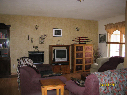 2294 Drexel Road Davis, IL 61019 - Photo 2 of 11 a living room with furniture a fireplace and a flat screen tv