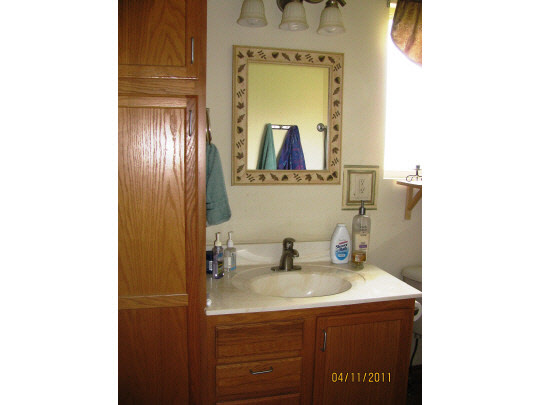 2294 Drexel Road Davis, IL 61019 - Photo 8 of 11 a bathroom with a sink and a mirror