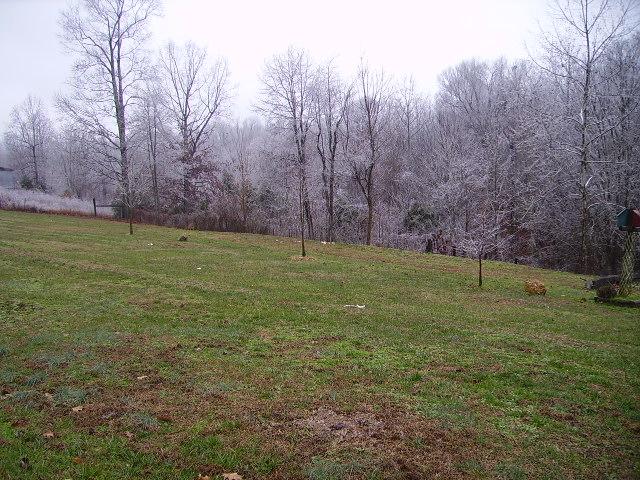 2689 Jimtown Road Lafayette, TN 37083 - Photo 2 of 4