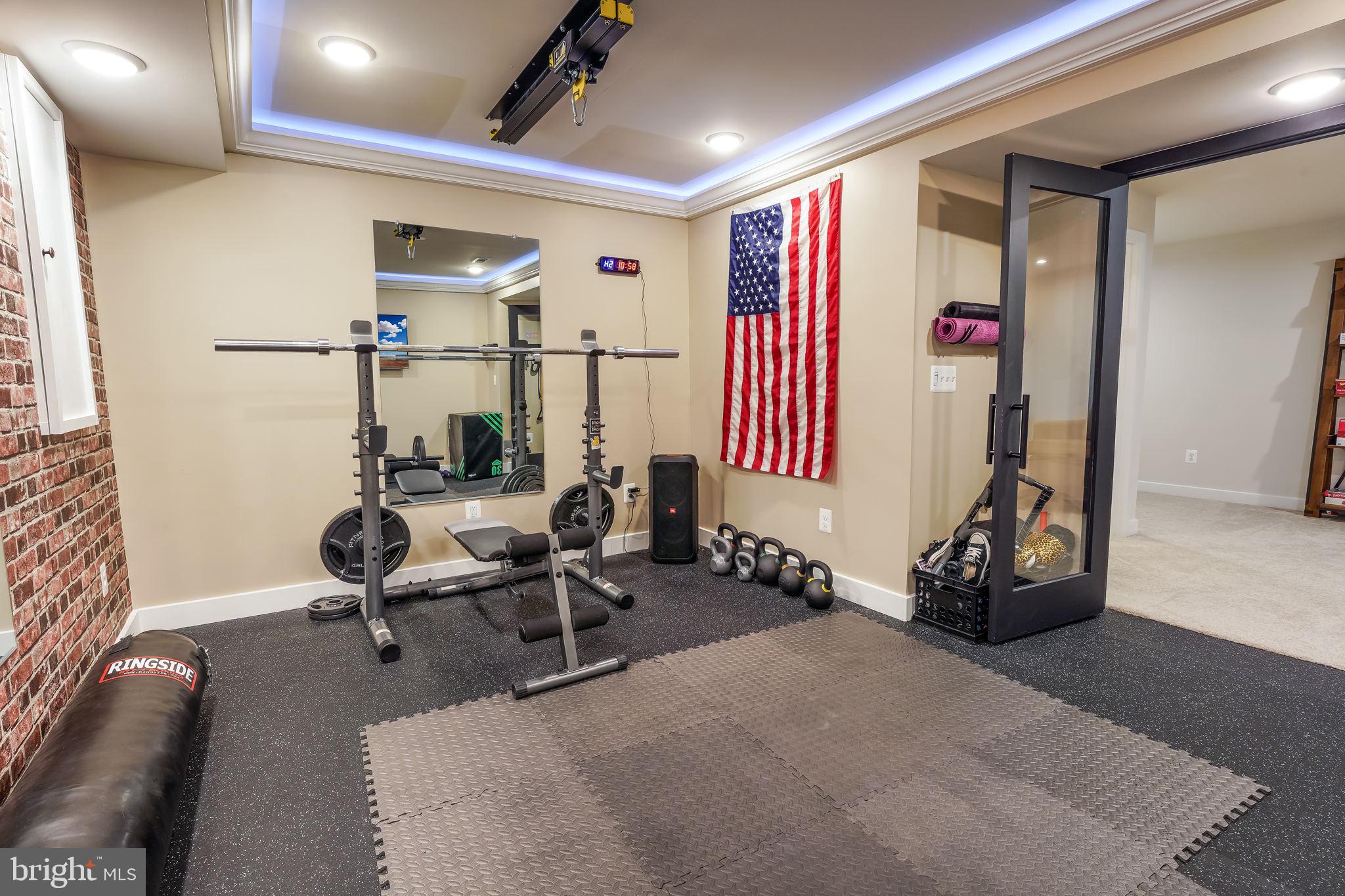 18216 Red Mulberry Road Dumfries, VA 22026 - Photo 36 of 67 molding & surround LED accent lighting.