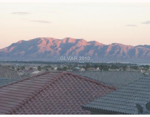 2313 Ridge Back Court North Las Vegas, NV 89031 - Photo 15 of 16 View.
