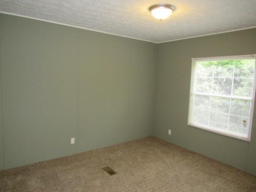 829 Rocky Springs Road Spring City, TN 37381 - Photo 4 of 6 an empty room with a window