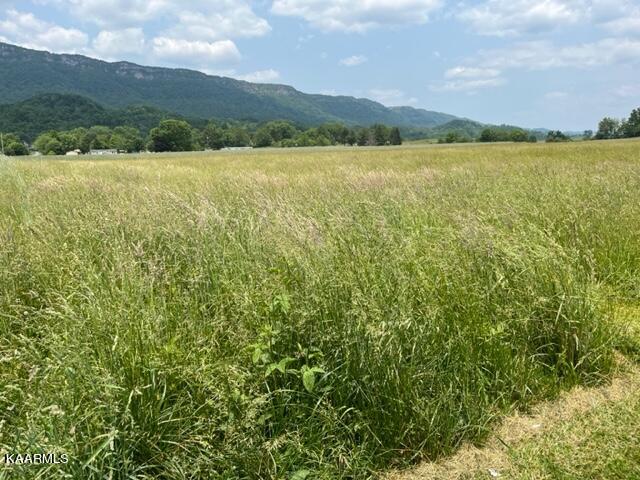 Sand Cave Road Ewing, VA 24248 - Photo 11 of 17 IMG_7355