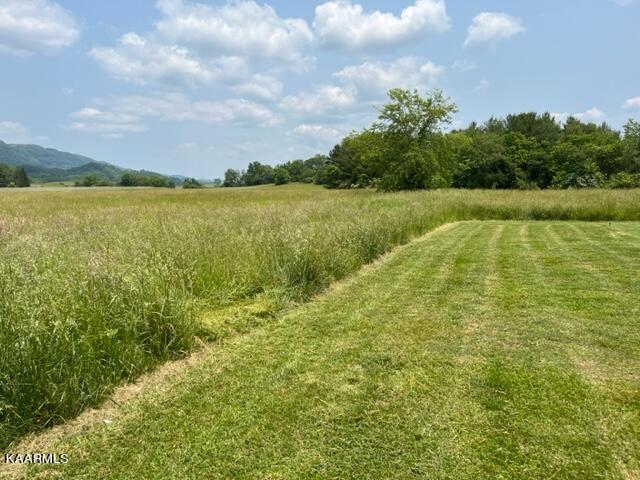 Sand Cave Road Ewing, VA 24248 - Photo 13 of 17 IMG_7357