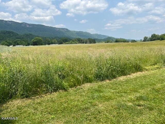 Sand Cave Road Ewing, VA 24248 - Photo 14 of 17 IMG_7358