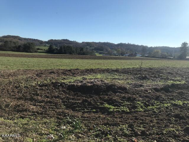 Sand Cave Road Ewing, VA 24248 - Photo 4 of 17 IMG_3978