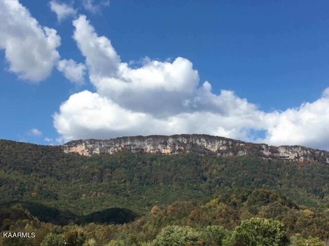 Sand Cave Road Ewing, VA 24248 - Photo 8 of 17 IMG_4223