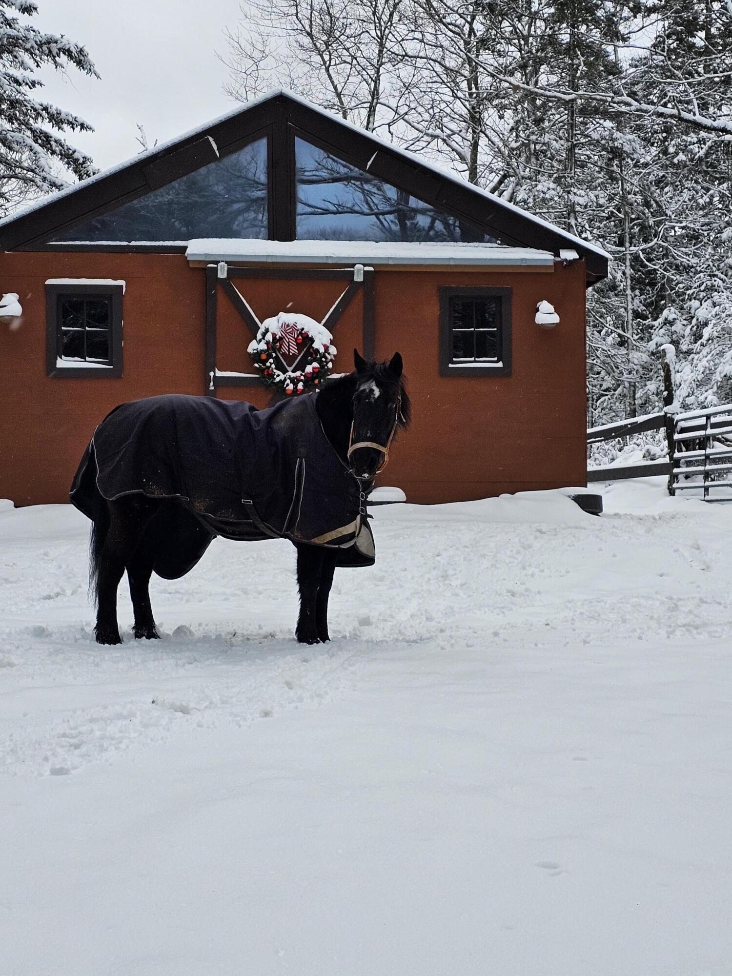 327 Carroll Road Warren, ME 04864 - Photo 55 of 58 20240129_095038