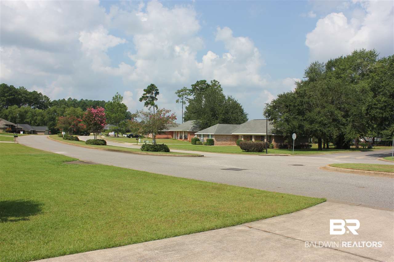 25407 Raynagua Boulevard Loxley, AL 36551 - Photo 5 of 20 Street view
