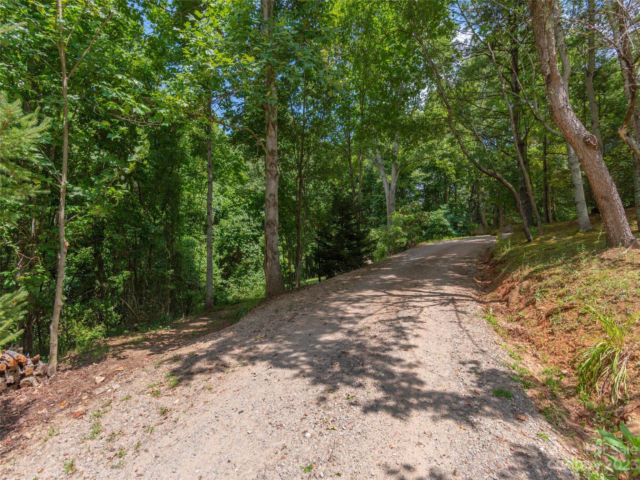 1373 Hunters Ridge Road, Unit 51 Canton, NC 28716 - Photo 1 of 7 a view of a yard with plants and trees