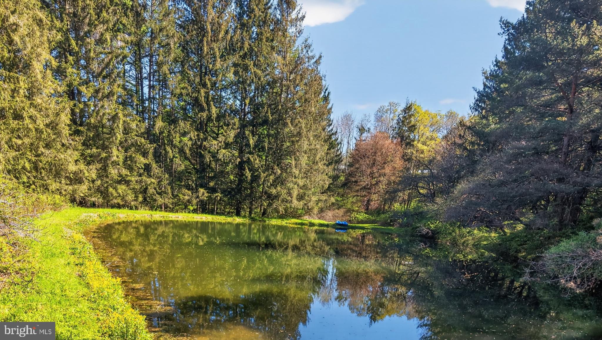 259 A A-Frame Road Coudersport, PA 16915 - Photo 111 of 130 Serene waters reflect nature's beauty.